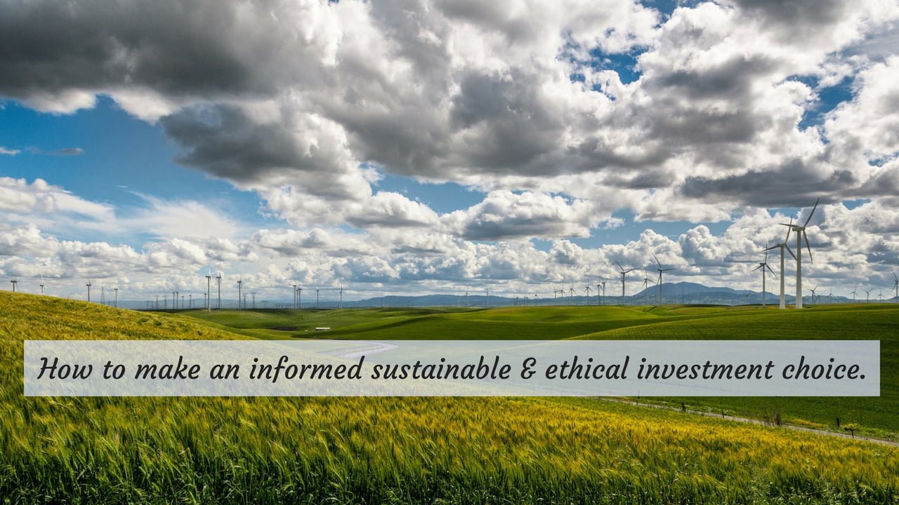 sustainability investing